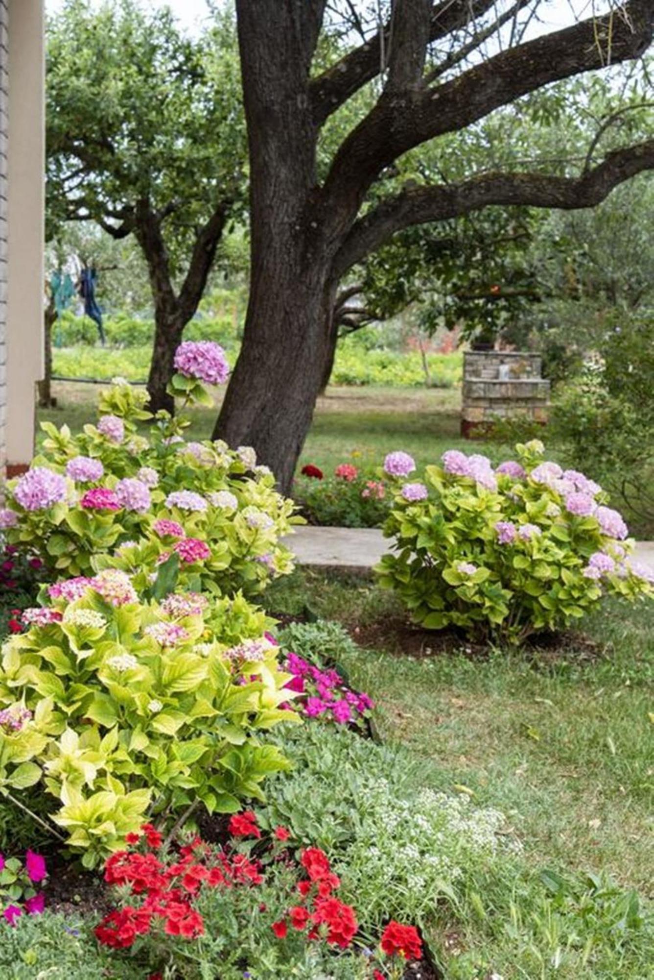 Flower Garden Rhapsody - Modern Family Apartments Near Fažana Buitenkant foto